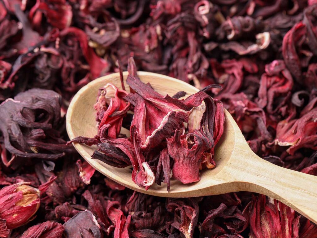 Liście Hibiskusa w naszym sklepie internetowym