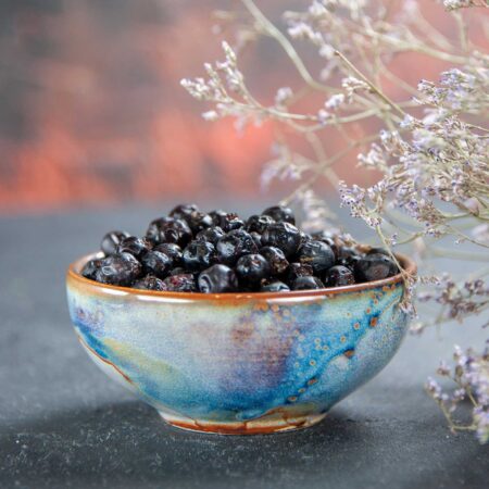 Borówka suszona 500g dostępna w naszym sklepie