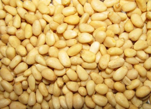 Orzeszki piniowe dostępne w naszym sklepie