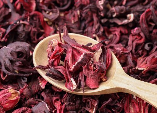 Liście Hibiskusa w naszym sklepie internetowym